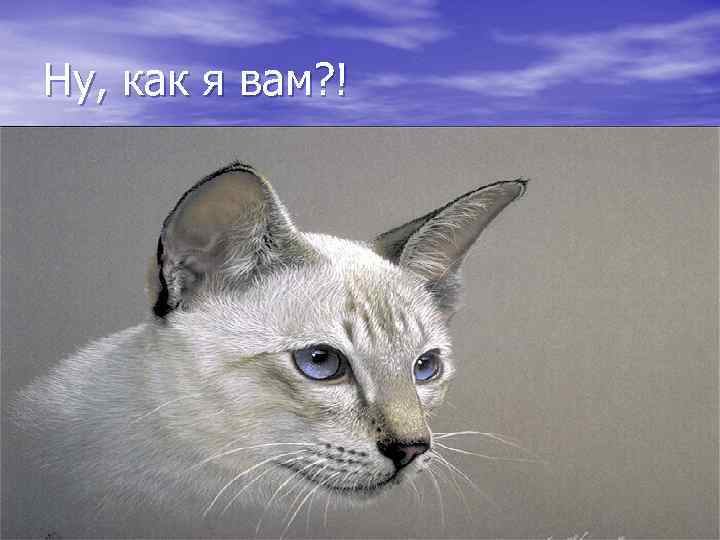 Ну, как я вам? ! 