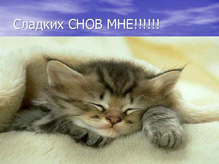 Сладких СНОВ МНЕ!!!!!! 