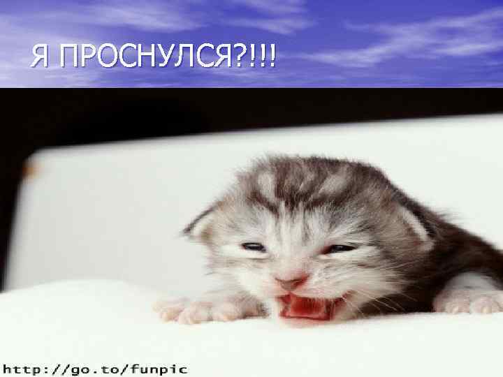 Я ПРОСНУЛСЯ? !!! 