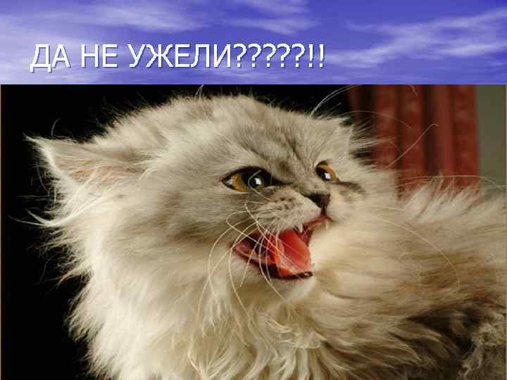 ДА НЕ УЖЕЛИ? ? ? !! 