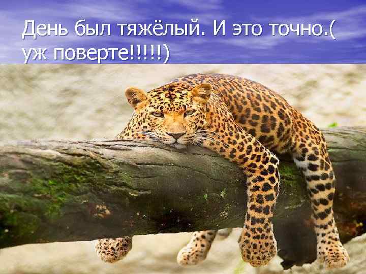 День был тяжёлый. И это точно. ( уж поверте!!!!!) 