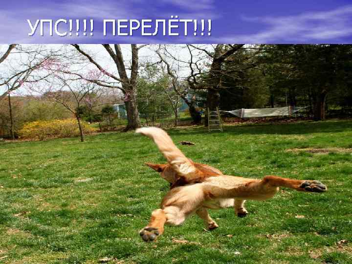 УПС!!!! ПЕРЕЛЁТ!!! 