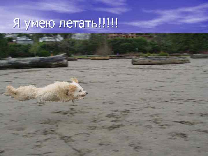 Я умею летать!!!!! 