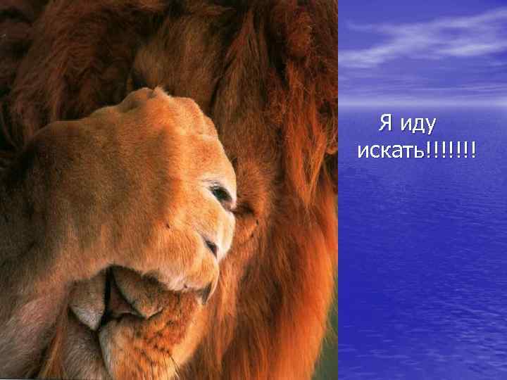 Я иду искать!!!!!!! 