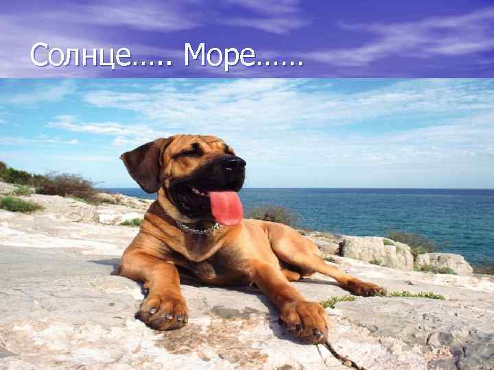 Солнце…. . Море…… 
