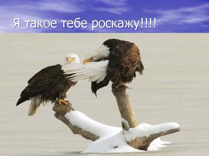 Я такое тебе роскажу!!!! 