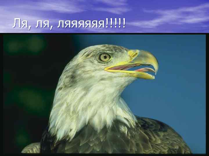 Ля, ляяяяяя!!!!! 
