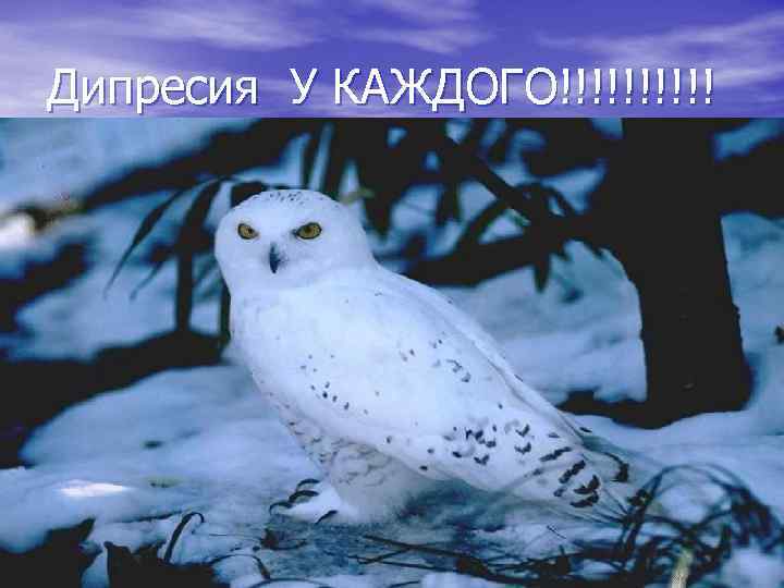 Дипресия У КАЖДОГО!!!!! 