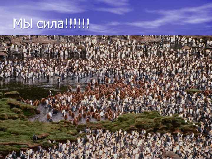 МЫ сила!!!!!! 