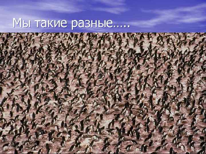 Мы такие разные…. . 