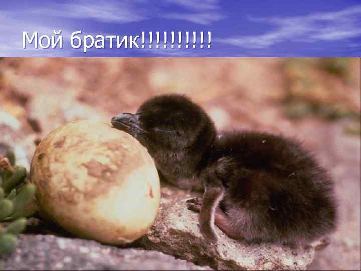 Мой братик!!!!! 