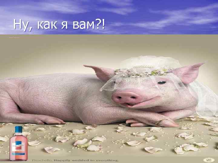 Ну, как я вам? ! 