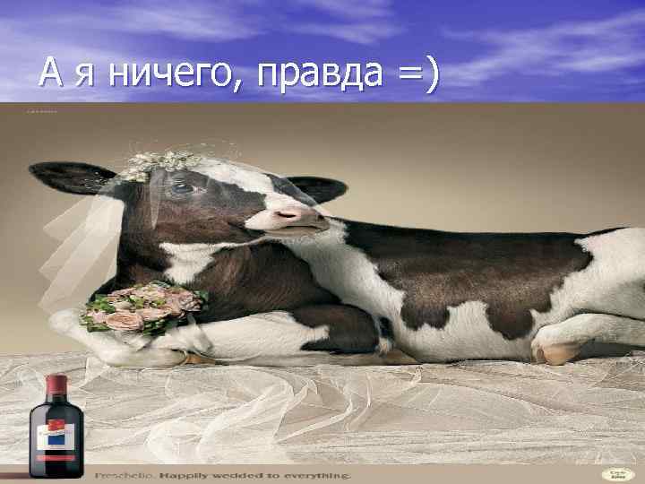 А я ничего, правда =) 