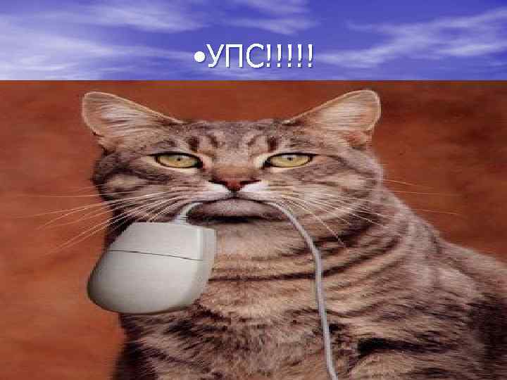  • УПС!!!!! 
