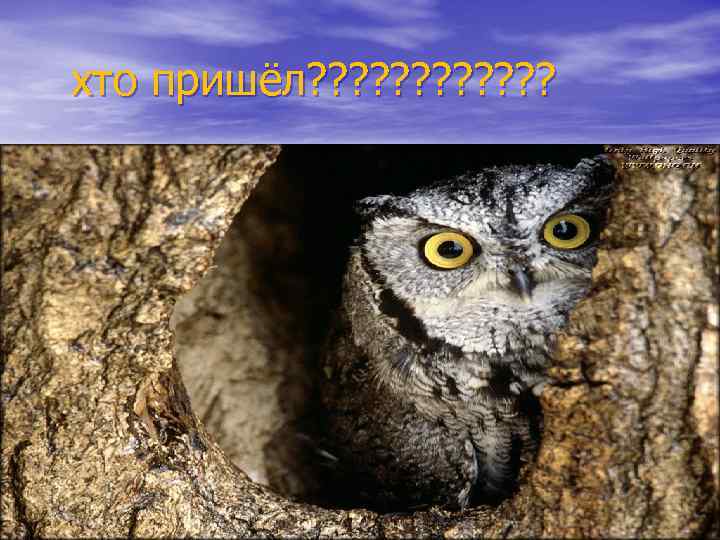 хто пришёл? ? ? 
