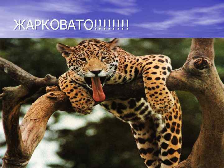ЖАРКОВАТО!!!! 
