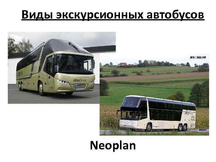 Виды экскурсионных автобусов Neoplan 