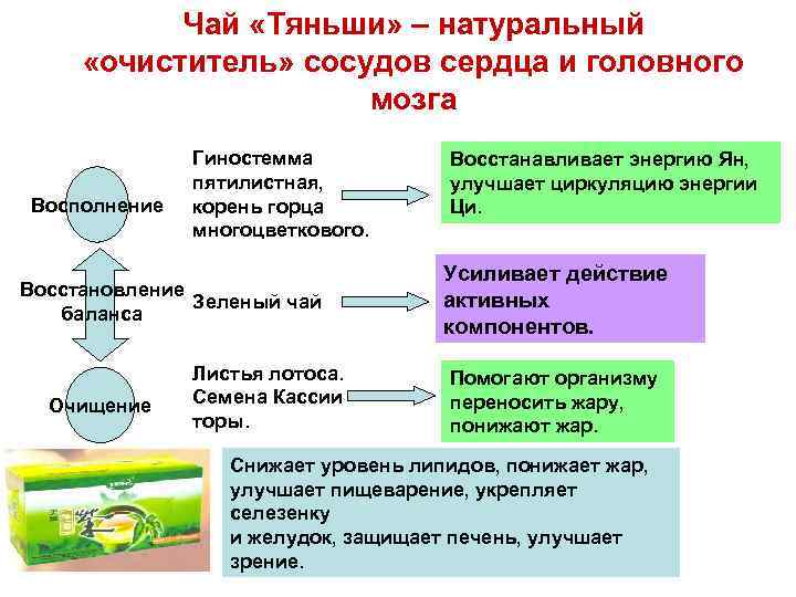 Чай «Тяньши» – натуральный «очиститель» сосудов сердца и головного мозга Восполнение Гиностемма пятилистная, корень