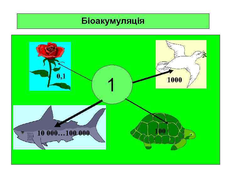 Біоакумуляція 0, 1 10 000… 100 000 1 1000 100 