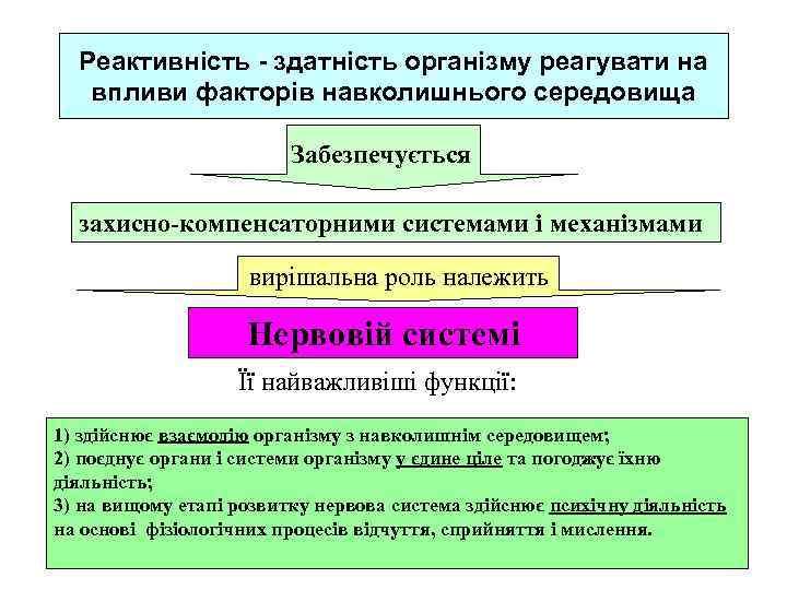 Реактивність - здатність організму реагувати на впливи факторів навколишнього середовища Забезпечується захисно-компенсаторними системами і