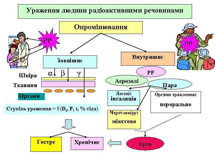 Ураження людини радіоактивними речовинами Опромінювання РР РР Внутришнє Зовнішнє α β Шкіра γ РР
