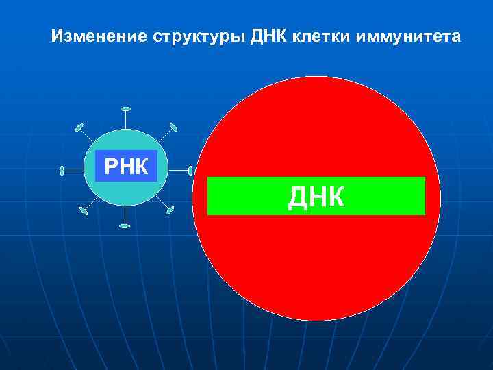 Изменение структуры ДНК клетки иммунитета РНК ДНК 