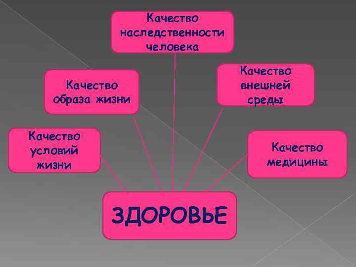 Качество наследственности человека Качество образа жизни Качество условий жизни Качество внешней среды Качество медицины