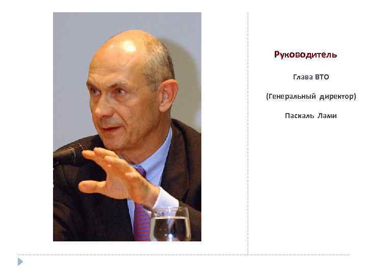 Руководитель Глава ВТО (Генеральный директор) Паскаль Лами 