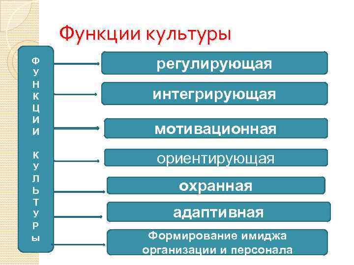 Виды и функции культуры план