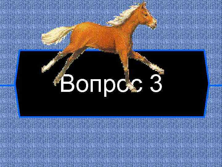 Вопрос 3 
