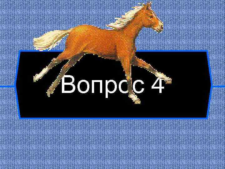Вопрос 4 