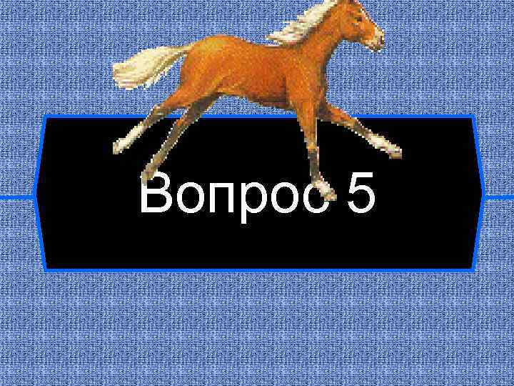Вопрос 5 