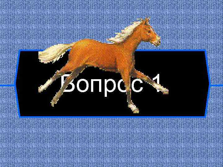 Вопрос 1 