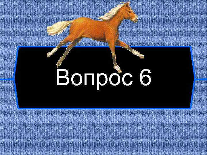 Вопрос 6 