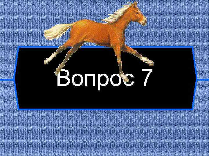 Вопрос 7 