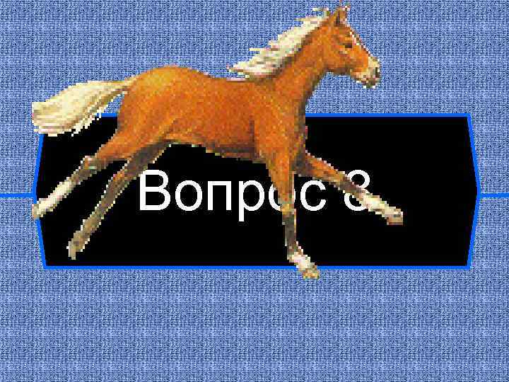 Вопрос 8 