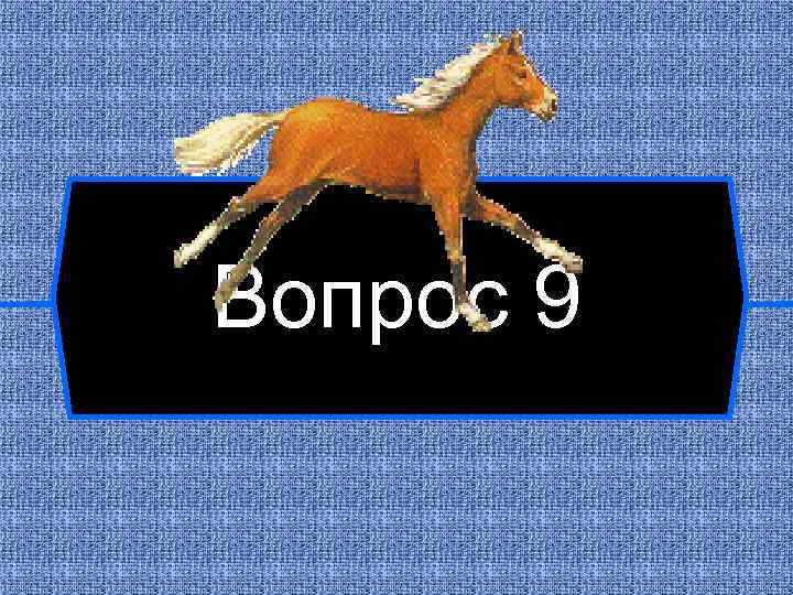 Вопрос 9 