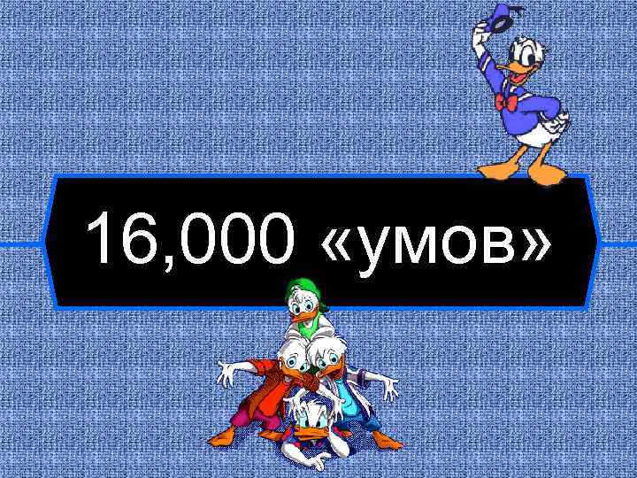 16, 000 «умов» 