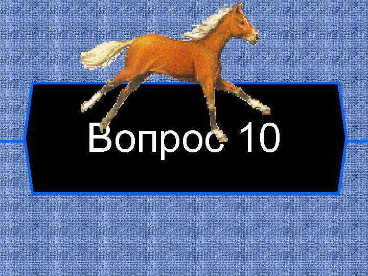 Вопрос 10 