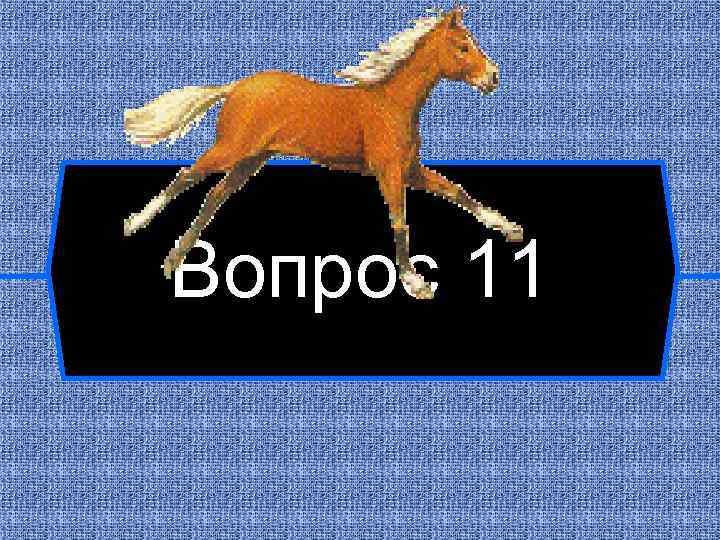 Вопрос 11 
