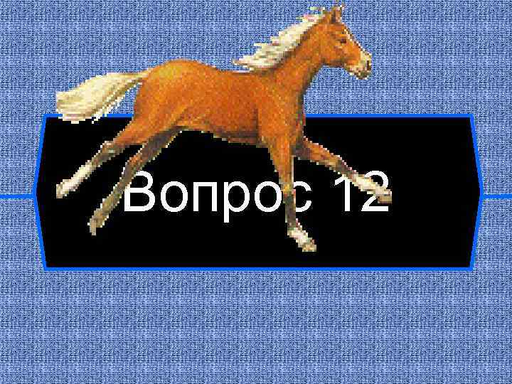 Вопрос 12 