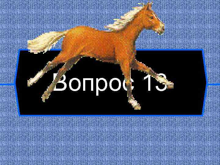 Вопрос 13 