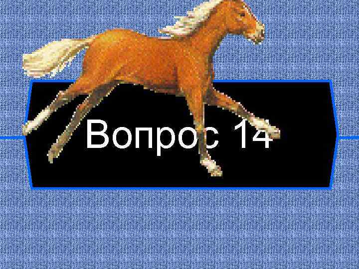 Вопрос 14 