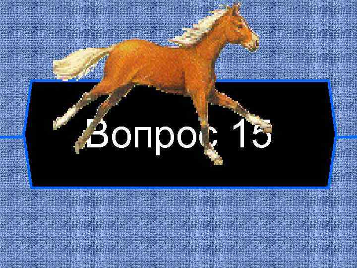 Вопрос 15 