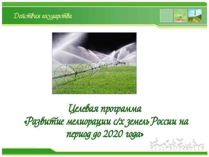 Действия государства Целевая программа «Развитие мелиорации с/х земель России на период до 2020 года»