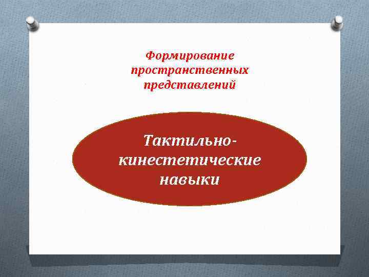 Формирование пространственных представлений Тактильнокинестетические навыки 