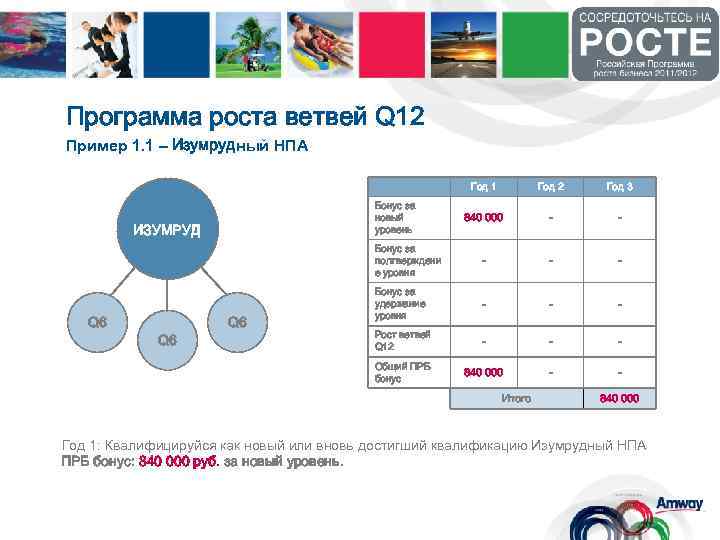 Программа роста ветвей Q 12 Пример 1. 1 – Изумрудный НПА Год 1 840