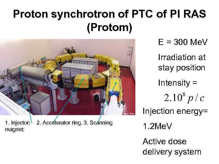 Proton synchrotron of PTC of PI RAS (Protom) E = 300 Me. V Irradiation