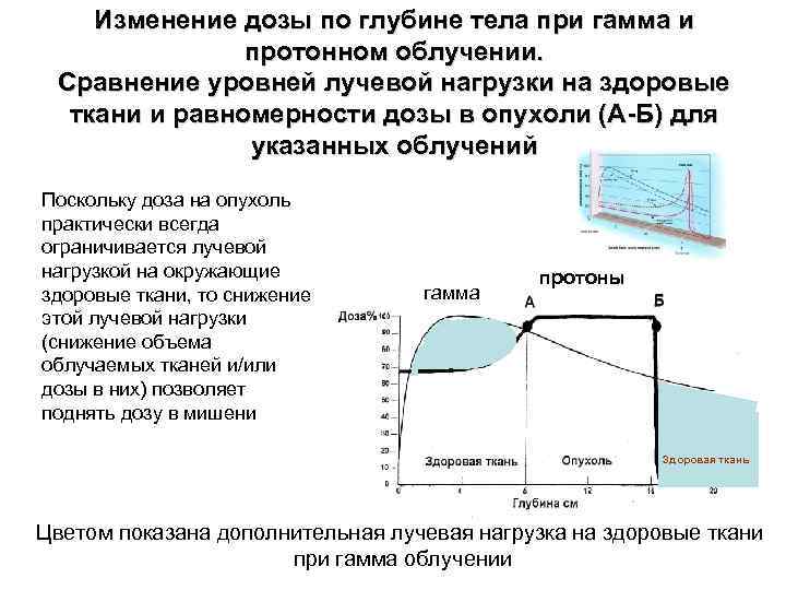 Изменение дозы по глубине тела при гамма и протонном облучении. Сравнение уровней лучевой нагрузки