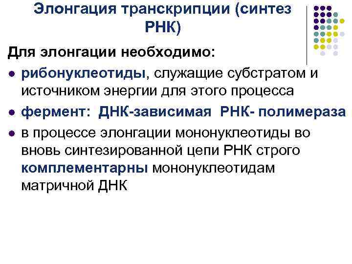 Элонгация транскрипции (синтез РНК) Для элонгации необходимо: l рибонуклеотиды, служащие субстратом и источником энергии